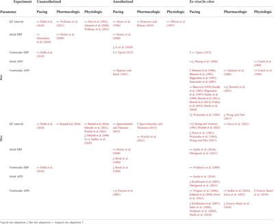 Incorrectly corrected? QT interval analysis in rats and mice